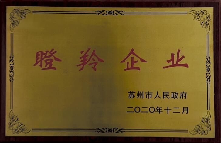 瞪羚企业