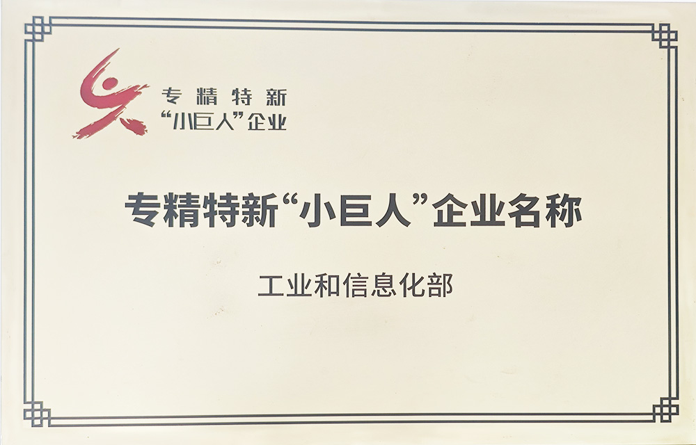 专精特新“小巨人”企业